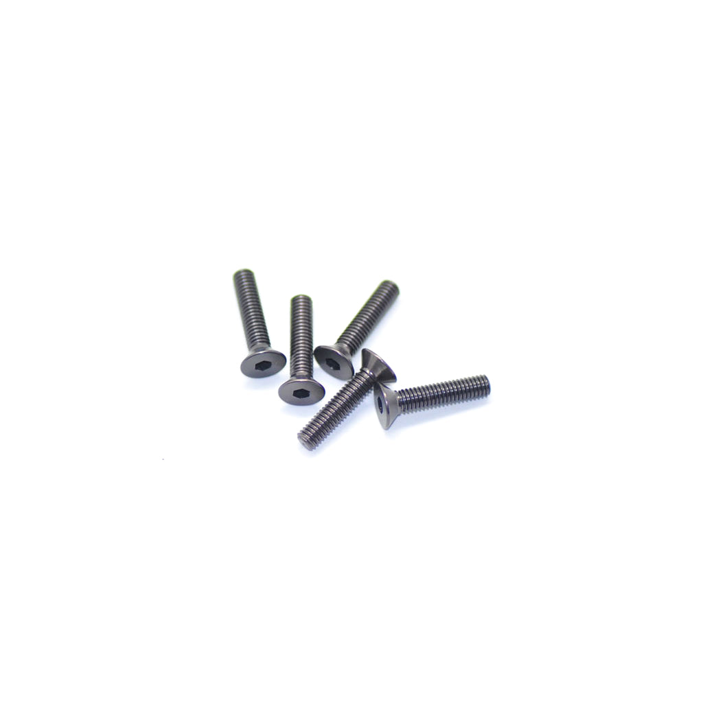 Alu Screw Allen Csk M3 x 14 Grey (5)