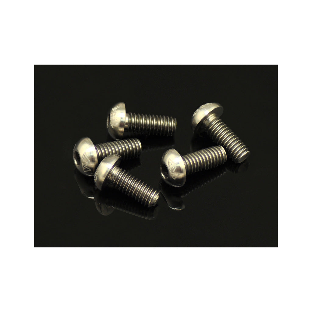 64 Ti Screw Allen Round Head M4 x 12  (5)