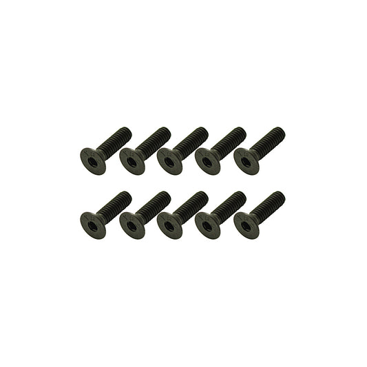 Steel Csk Hex Screws M4 x 14 pk10