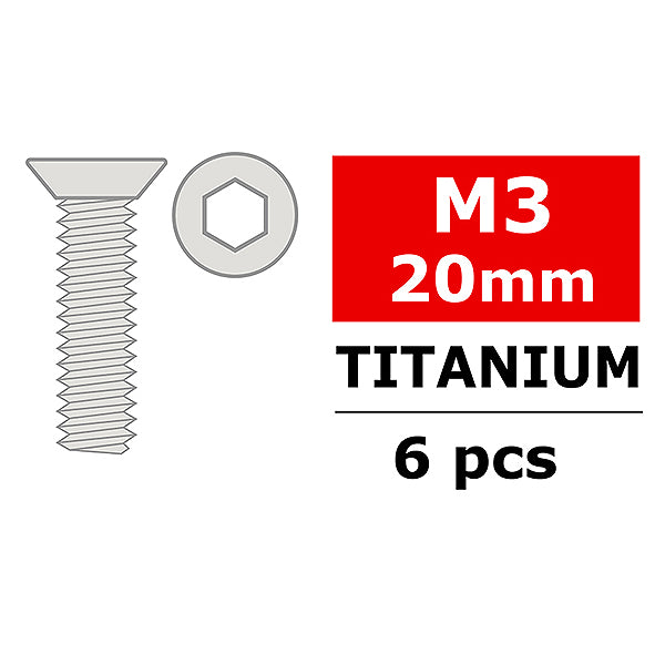 CORALLY TITANIUM SCREWS M3 X 20MM HEX FLAT HEAD 6 PCS